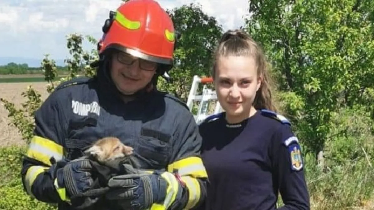 Kíváncsi rókakölyköt mentettek a brassói tűzoltók - fotó