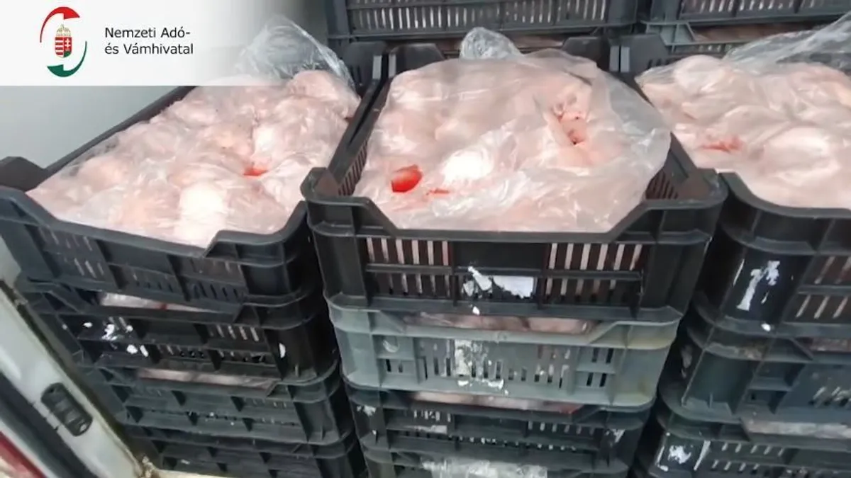 Horror a kamionban, romlott húsokkal megrakott teherautót találtak egy magyar autópályán - videó