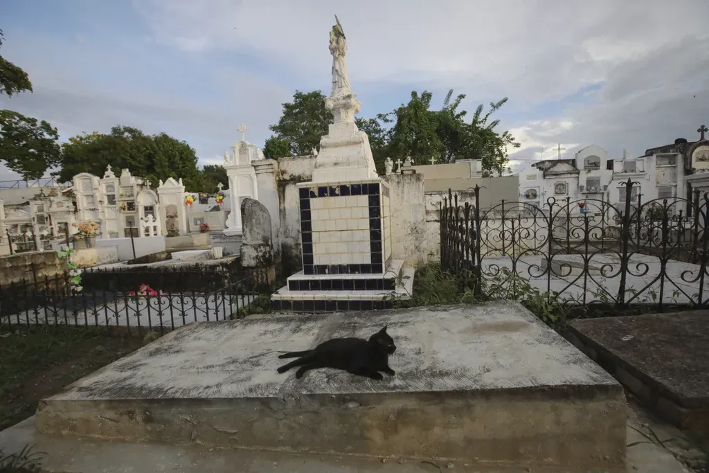 Santa Cruz de Mompox temetője