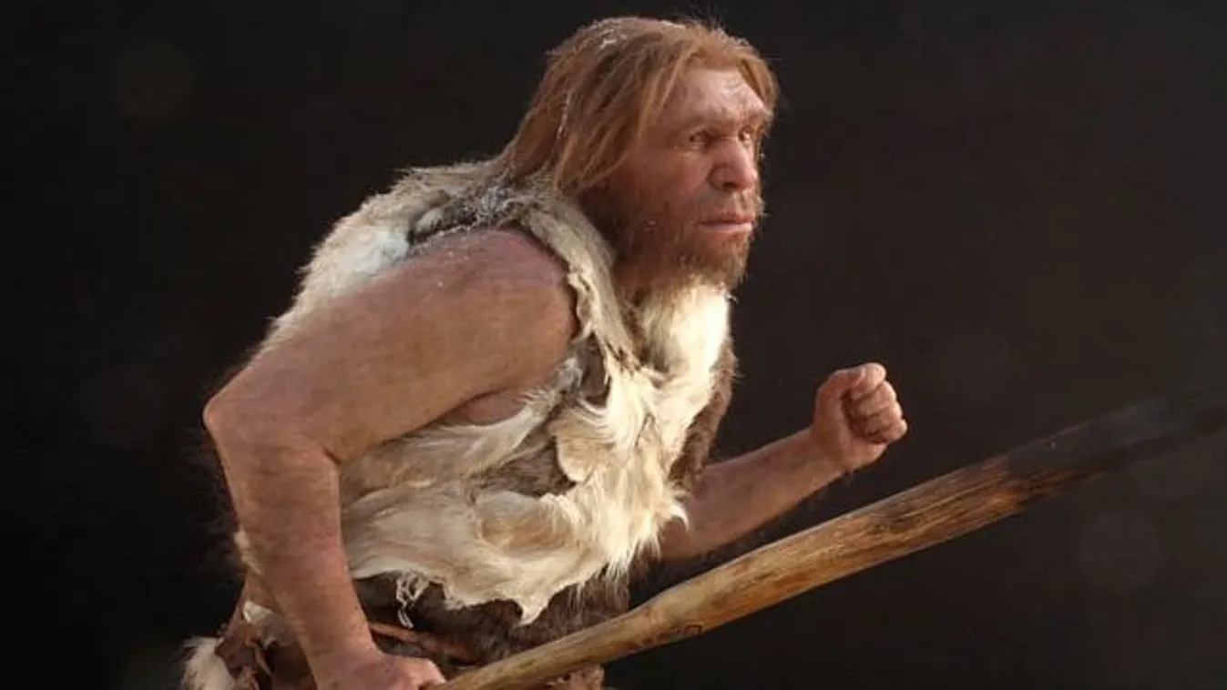 Neandervölgyi ősember élethű rekonstrukciója