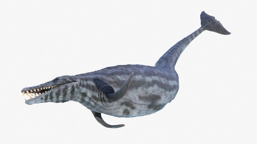 Basilosaurus, illustration