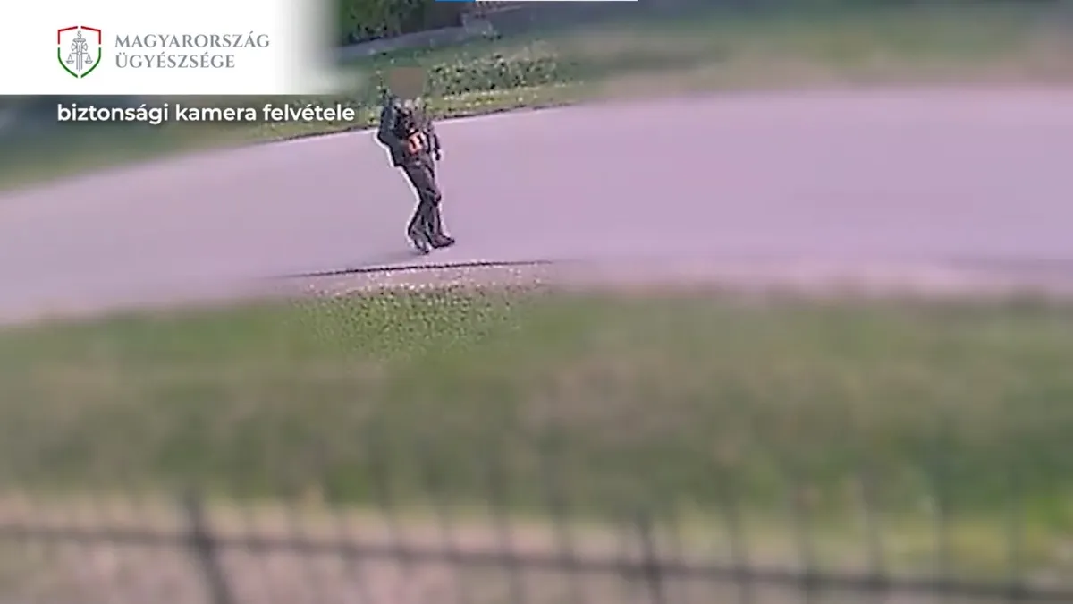 Ellopott egy kölyökkutyát, hogy tudjon ajándékot vinni a születésnapi bulira a káli férfi