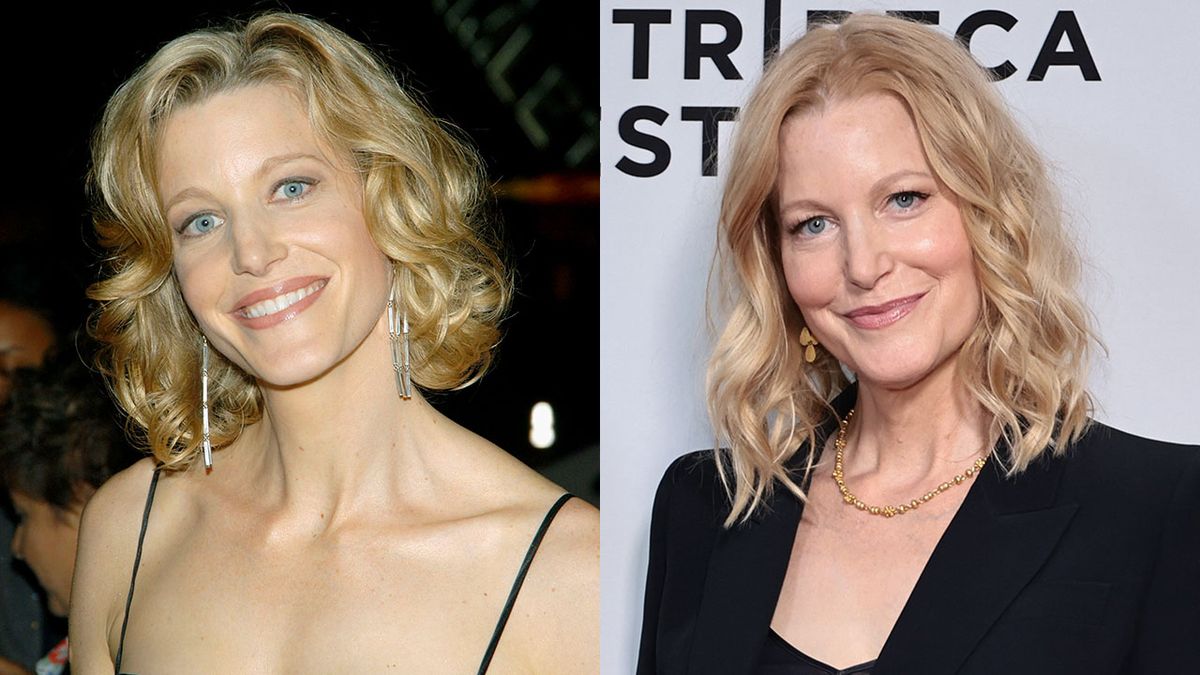 Anna Gunn, AnnaGunn, Breaking Bad-Totál szívás című sorozat