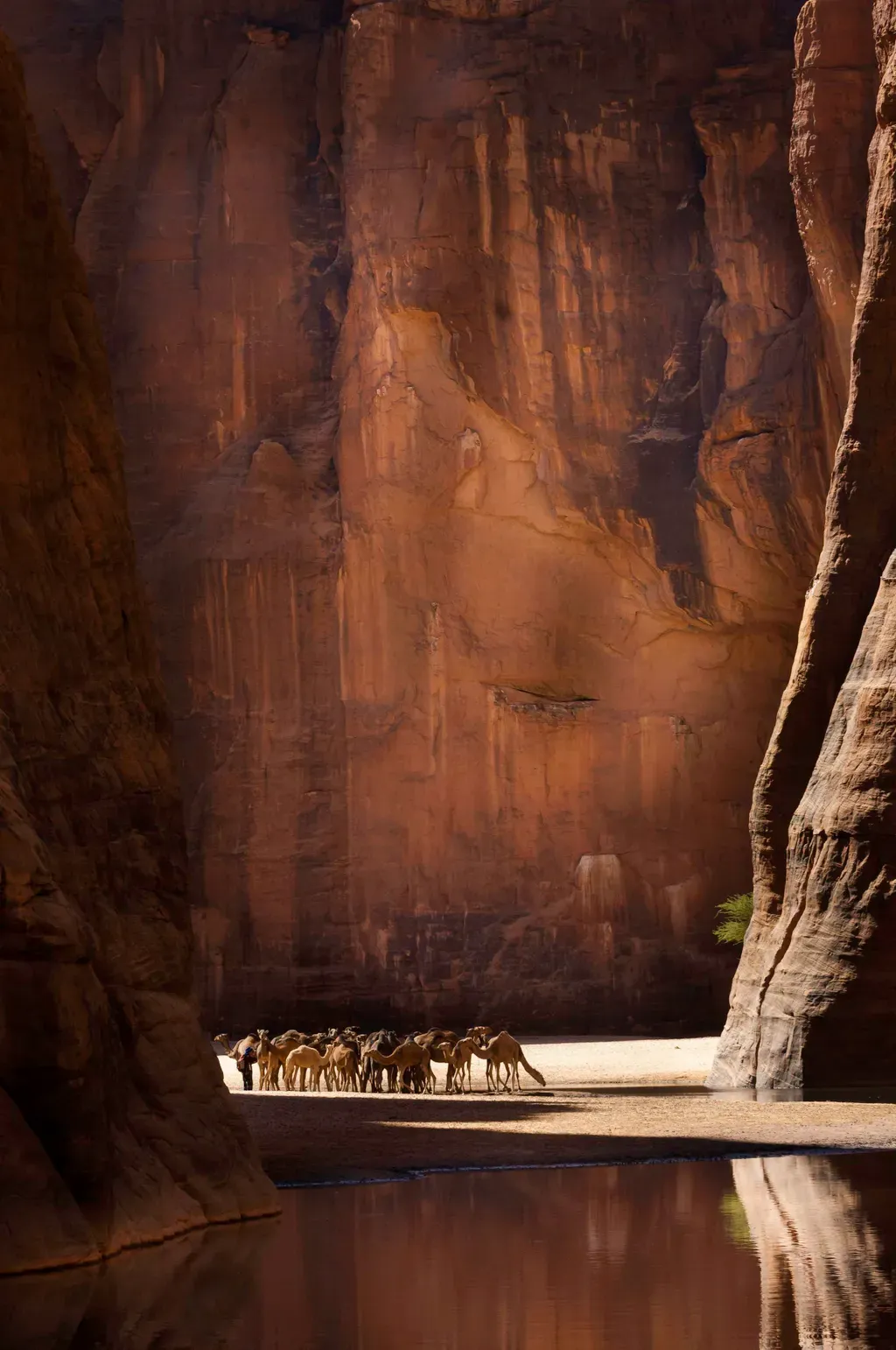 A Guelta d'Archei Csádban