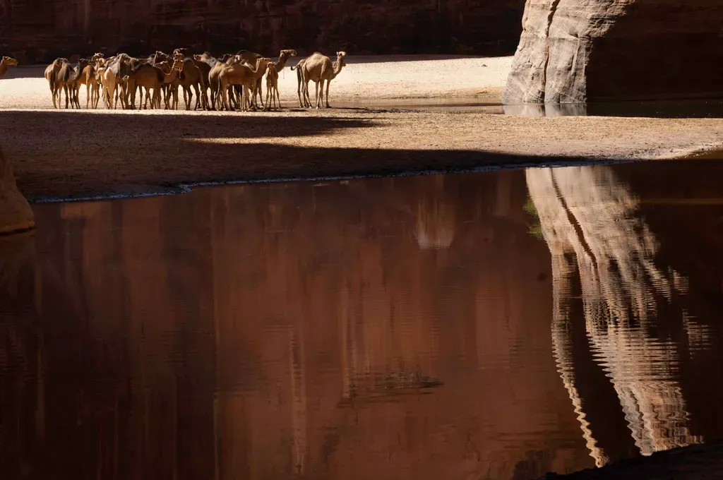 A Guelta d'Archei Csádban