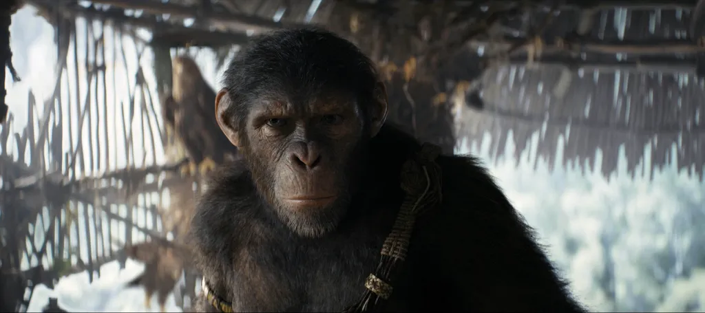 LA PLANETE DES SINGES, LE NOUVEAU ROYAUME - KINGDOM OF THE PLANET OF THE APES (2024)