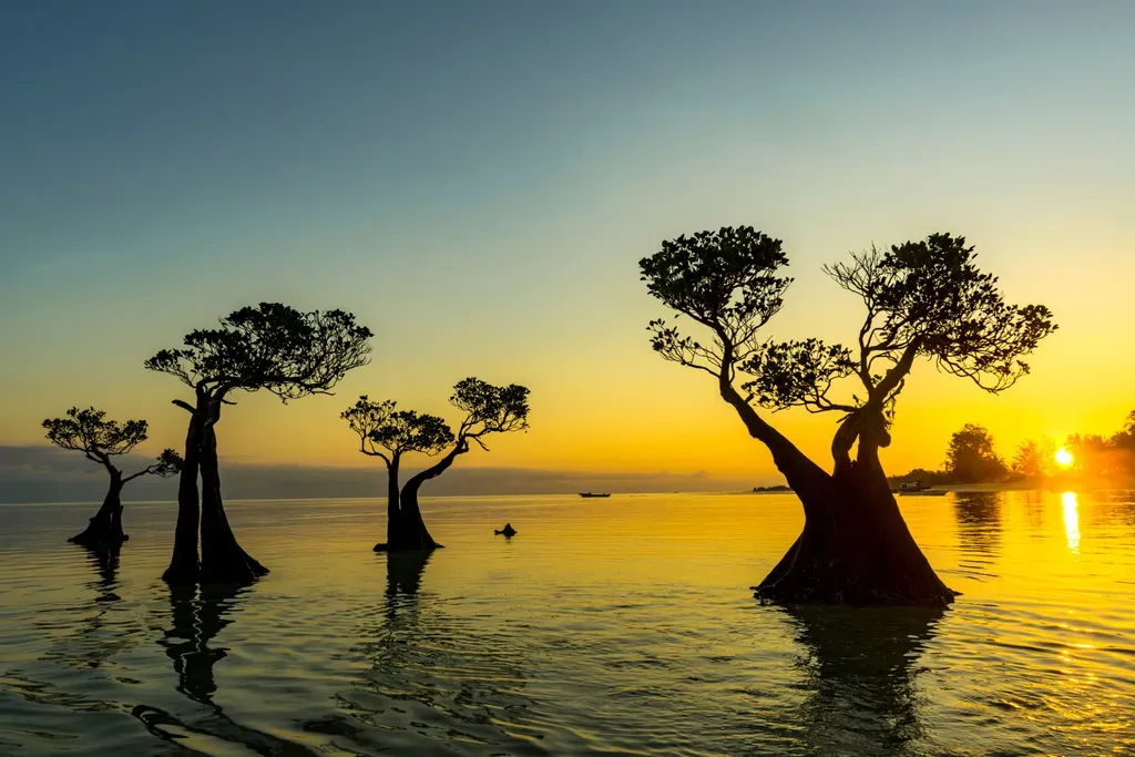 Walakiri Beach