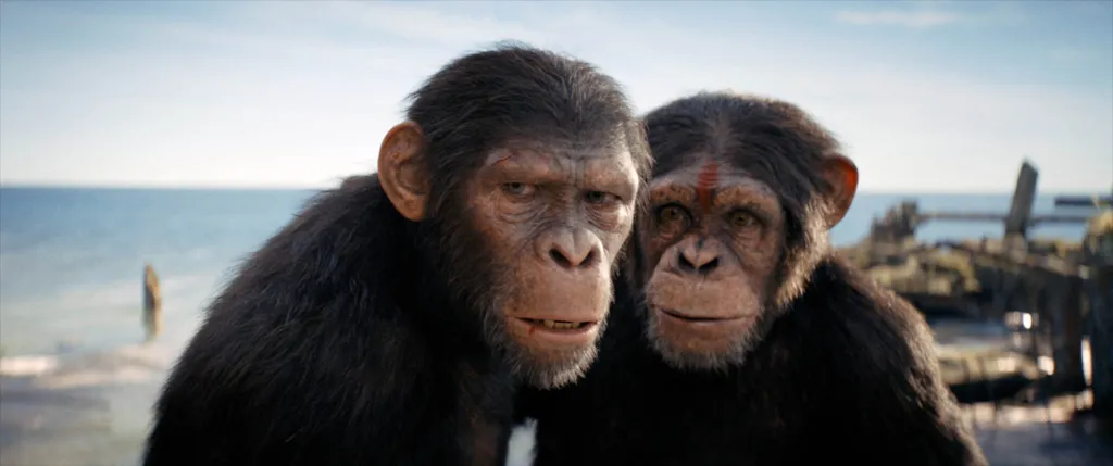 LA PLANETE DES SINGES, LE NOUVEAU ROYAUME - KINGDOM OF THE PLANET OF THE APES (2024)