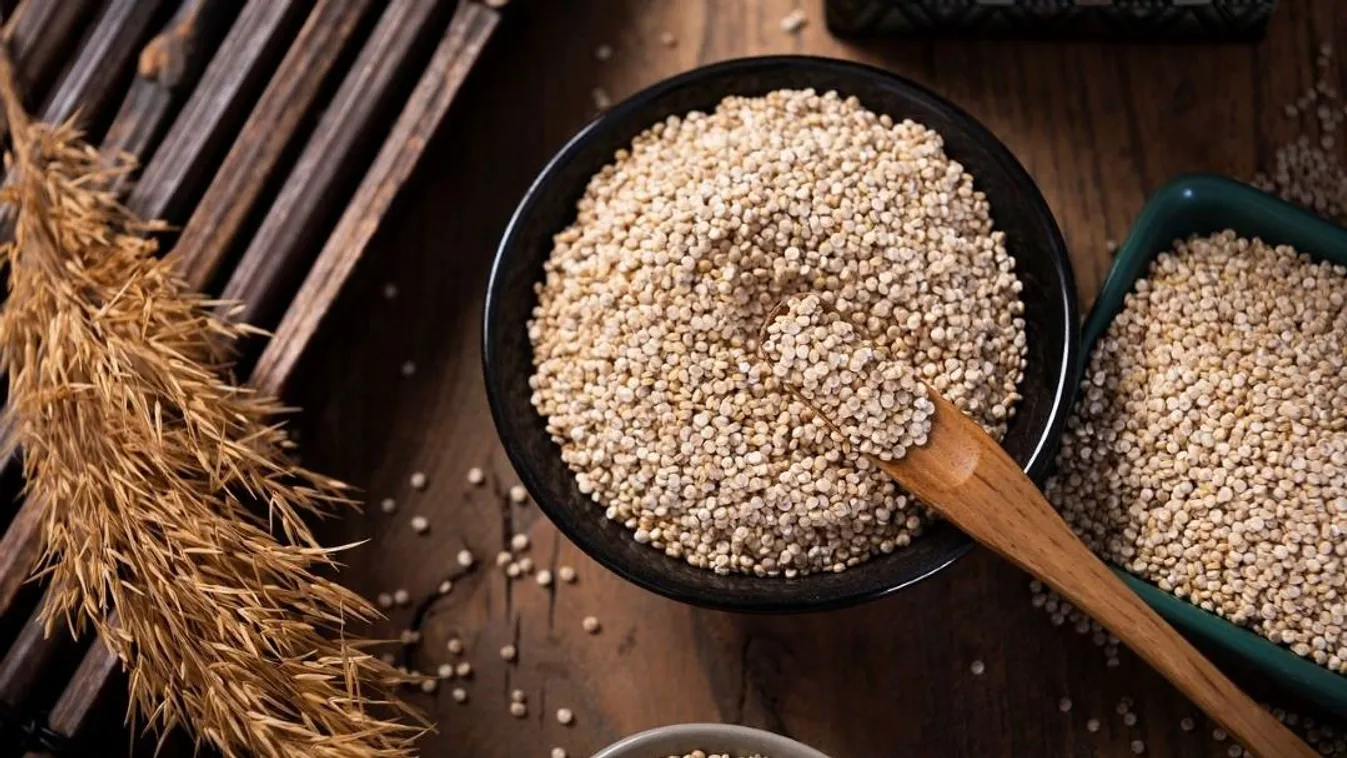 quinoa, kvíz