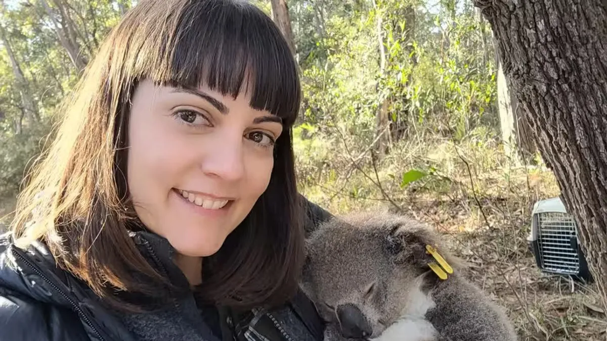 A koalák képesek előrejelezni a legforróbb nyári napokat és felkészülni rá