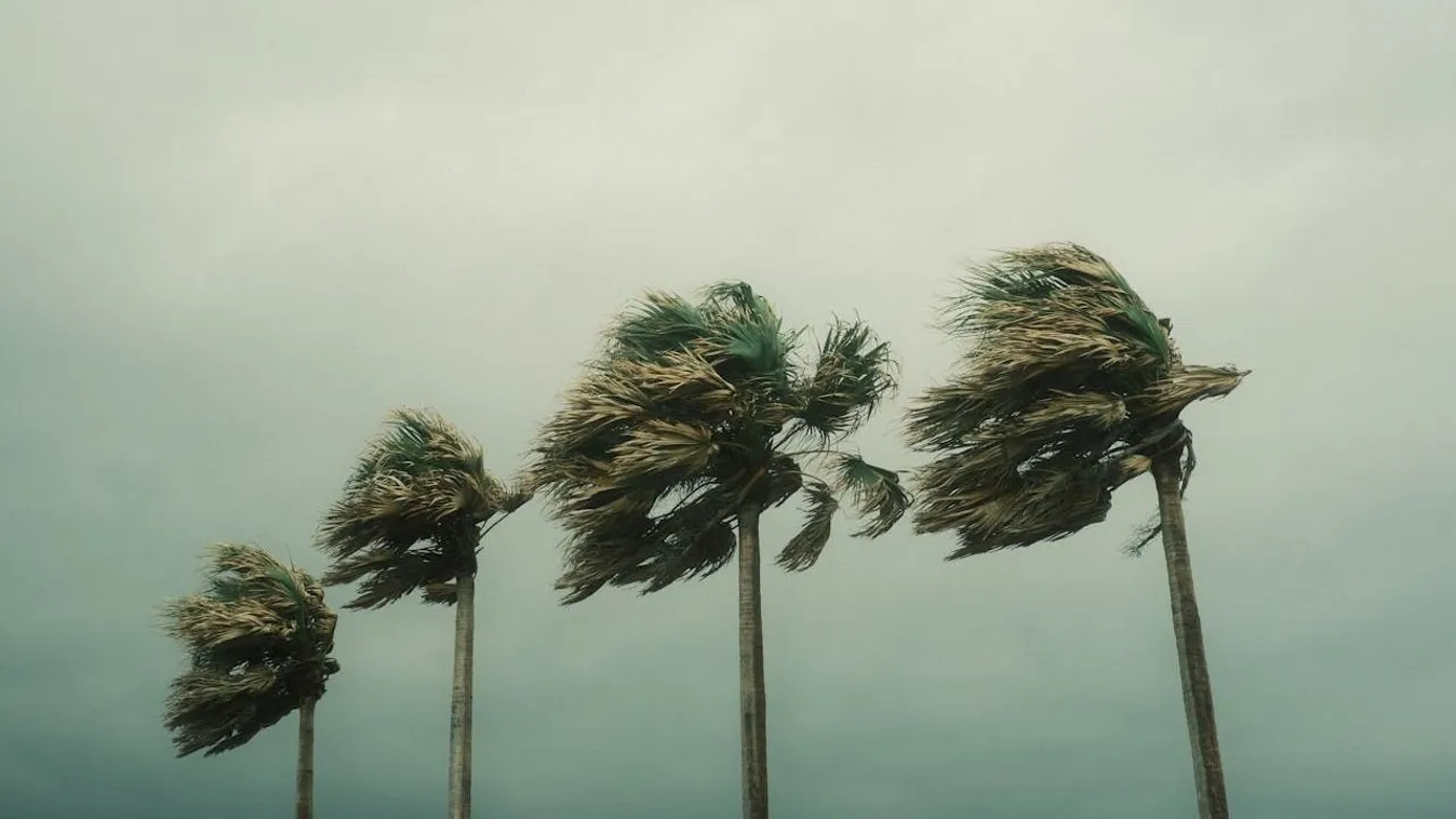 USA, hurrikán, Florida, Miami, áradások