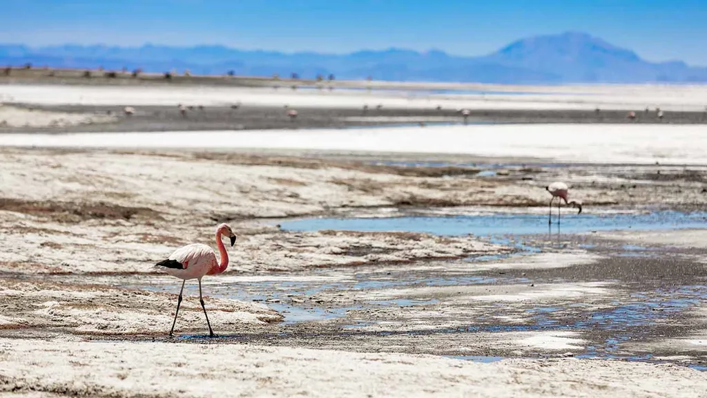 Salar de Uyuni, sósivatag, sómező, sósíkság, só, sóbánya, lítium, lítiumbánya, Bolívia, látványosság, turisztikai látványosság