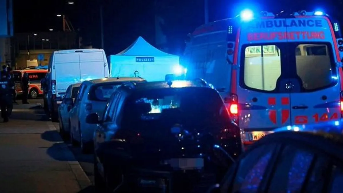 Brutális gyilkosság Bécsben, baltával vertek agyon egy nőt