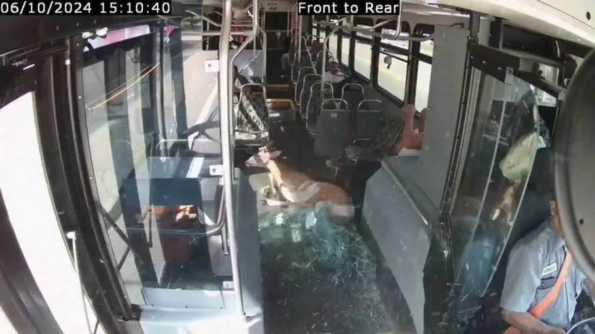 Sokkoló élmény a buszon: a semmiből csapódott be egy szarvas a szélvédőn - videó