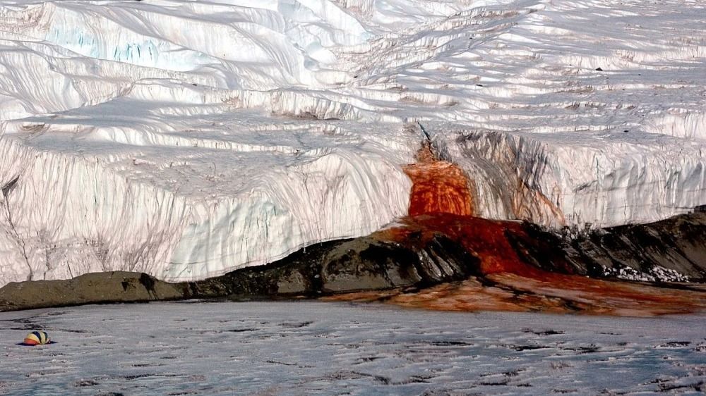 Az antarktiszi vér-vízesés színe egy vegyület miatt bíborvörös