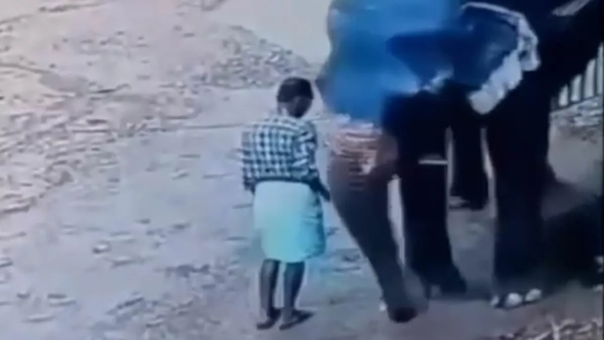 Halálra taposta gondozóját egy elefánt, miután az bottal ütötte az állatot - videó