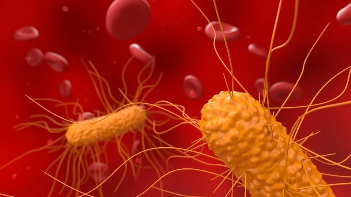 Szétroncsolja a szuperbaktériumokat egy új magyar antibiotikum
