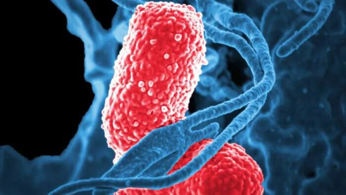 Riasztó mértékű az antibiotikum rezisztencia Fekete-Afrikában