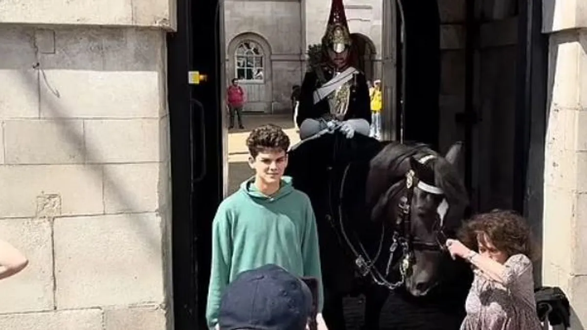 Fellökött egy turistát az angol Királyi Gárda lova a Buckingham-palota előtt - videó