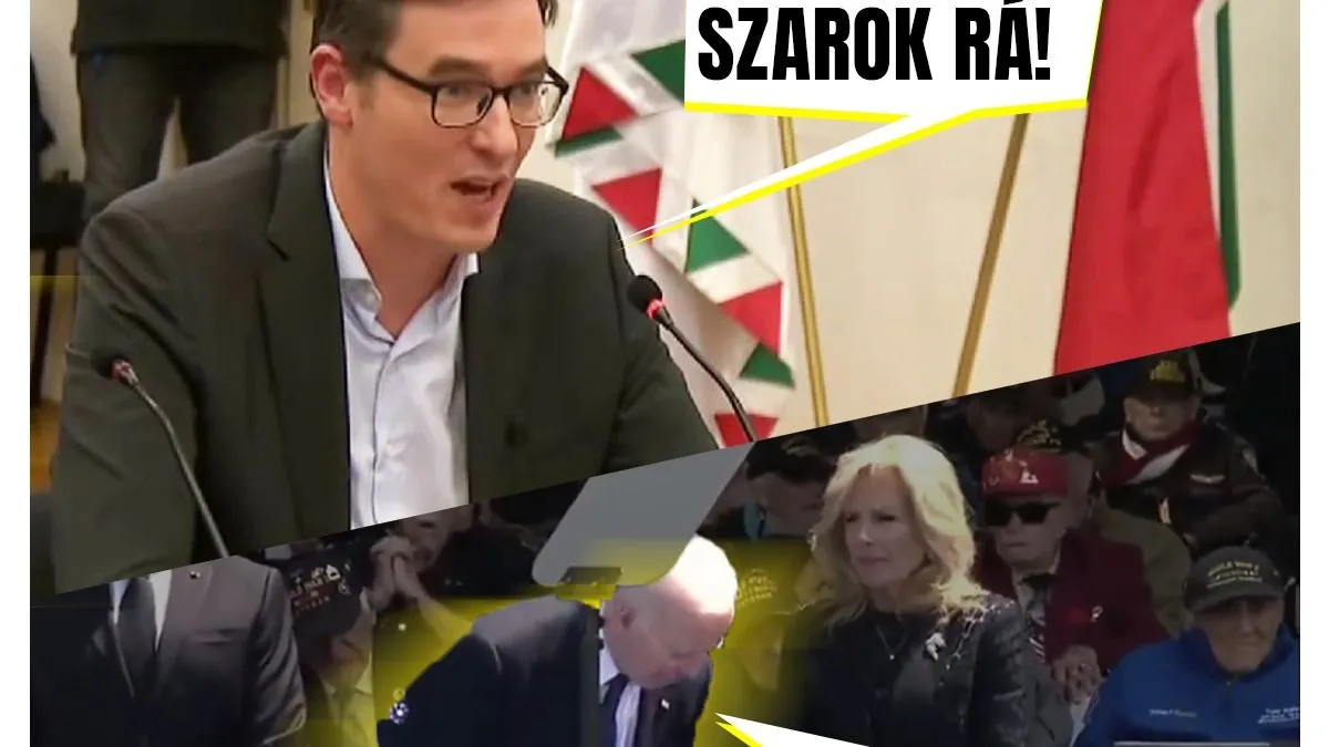 Napi balfék: nagydolguk van