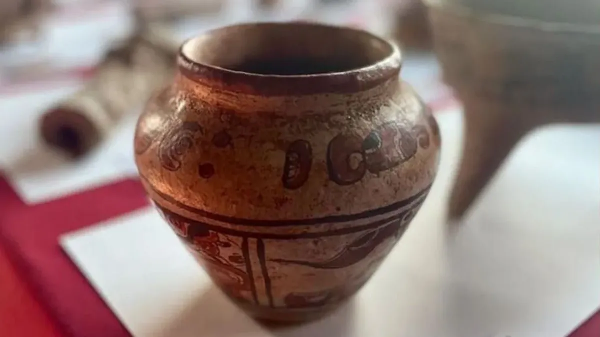 The woman was shocked to discover the value of the vase she had bought for pennies