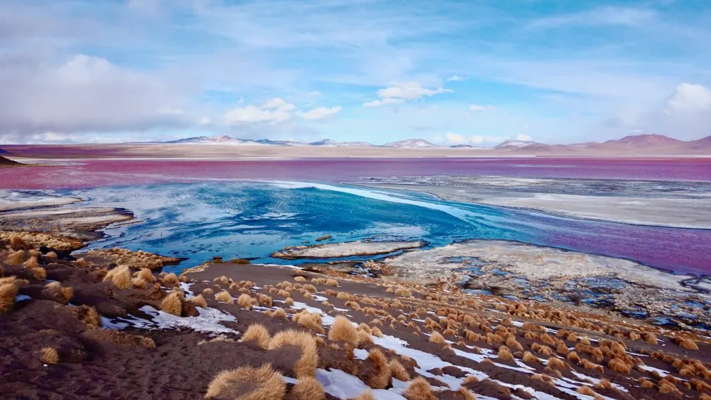 laguna, colorada, Vörös-tó, Vörös, tó, Bolívia, 