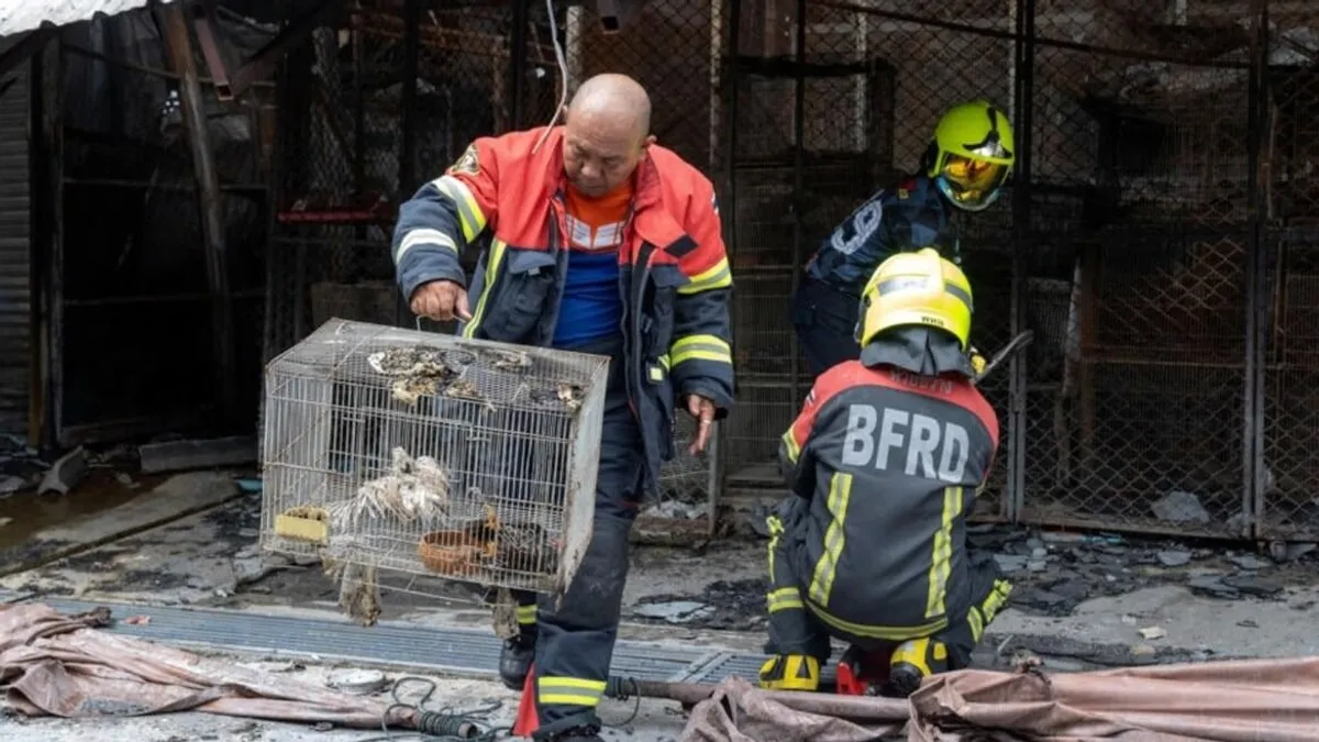 Tűz volt Bangkok leghíresebb piacán, rengeteg állat pusztult el