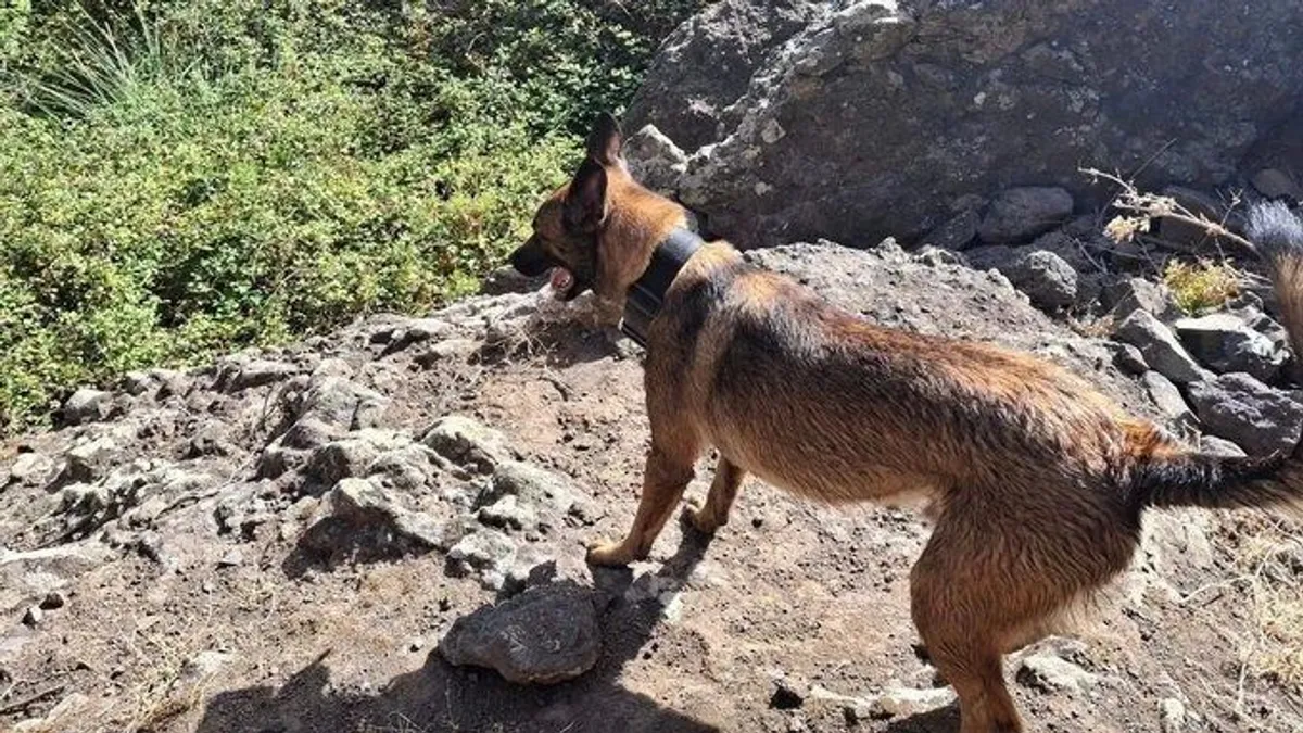 Először mutatták meg, itt halt meg a brit fiatal Tenerifén