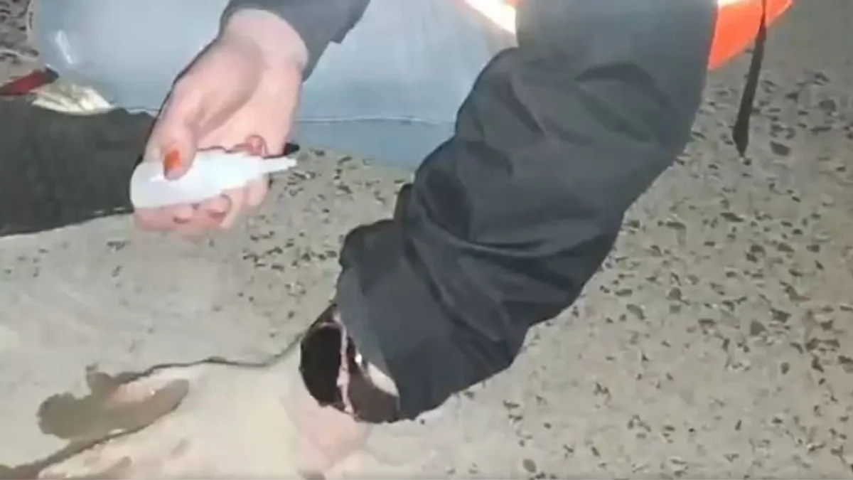 Klímatüntetők miatt megbénult a kölni repülőtér - videó