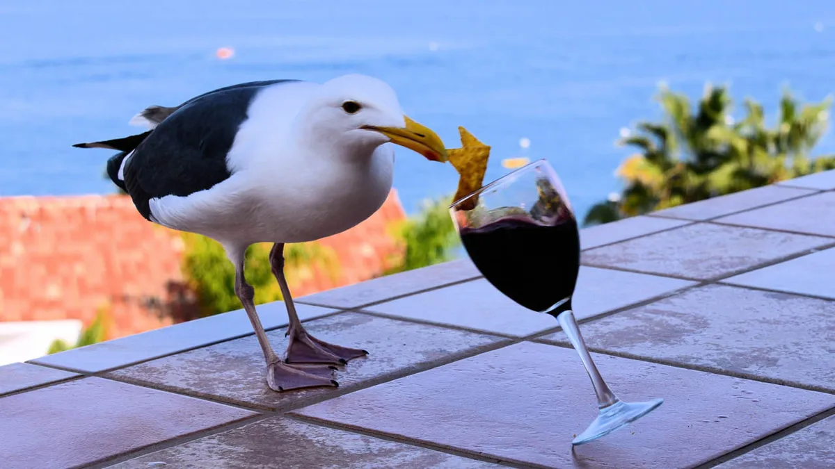 Váratlan bolti tolvaj bukkant fel, a chipsekre vadászik - videó