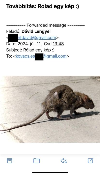 patkány, mszp, dk