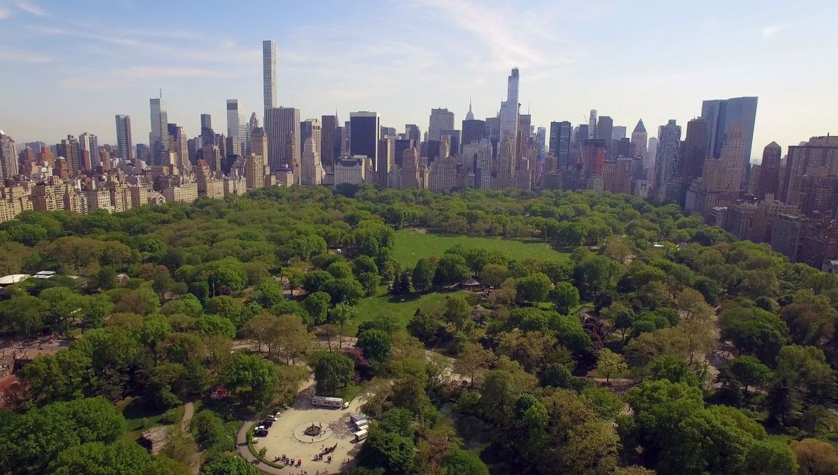 Central park, New York