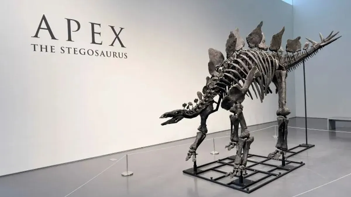 Ízületi bántalmak kínozták Apexet, a sztegoszauruszt