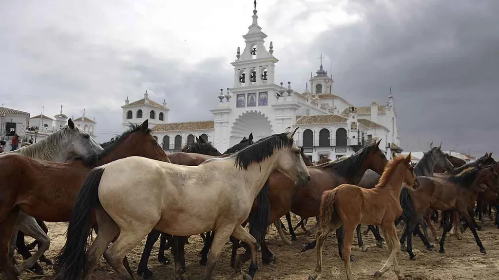 Saca de las Yeguas, vadló, ló, terelés, lóvásár, Andalúzia,Donana Nemzeti Park, látványosság, almontei vásár,  El Rocíó, Almonte, Spanyolország, SacadelasYeguas