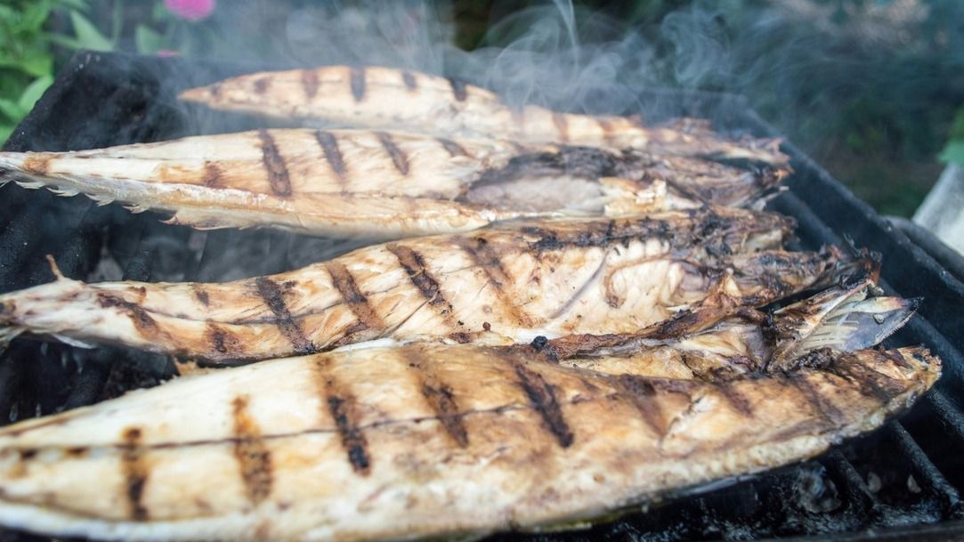 grillezett hal, illusztráció