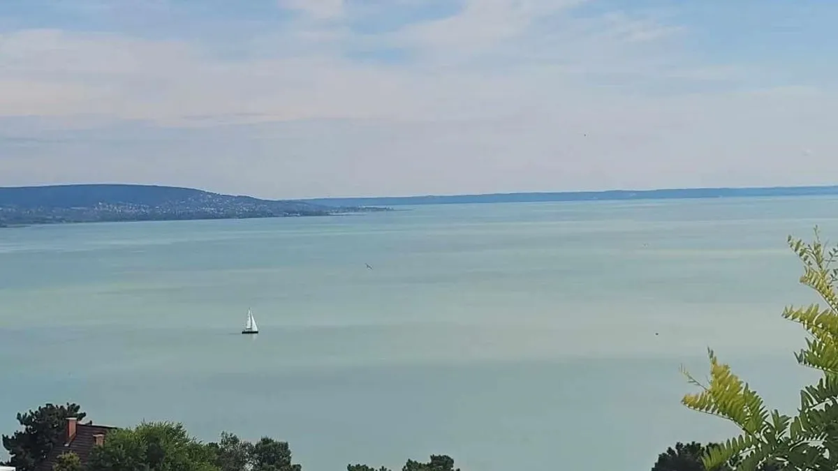 Tigrisek lehetnek a Balaton mélyén?