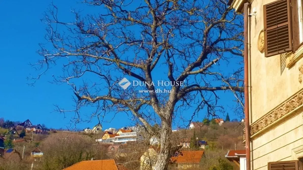 Zsolnay a mindene? Vegye meg a Vasváry Présházat!