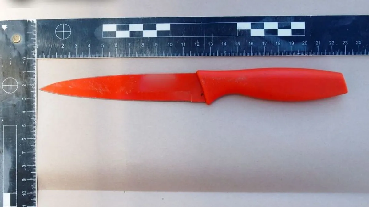 Élettársa fiát késelte meg egy román férfi Lajosmizsén
