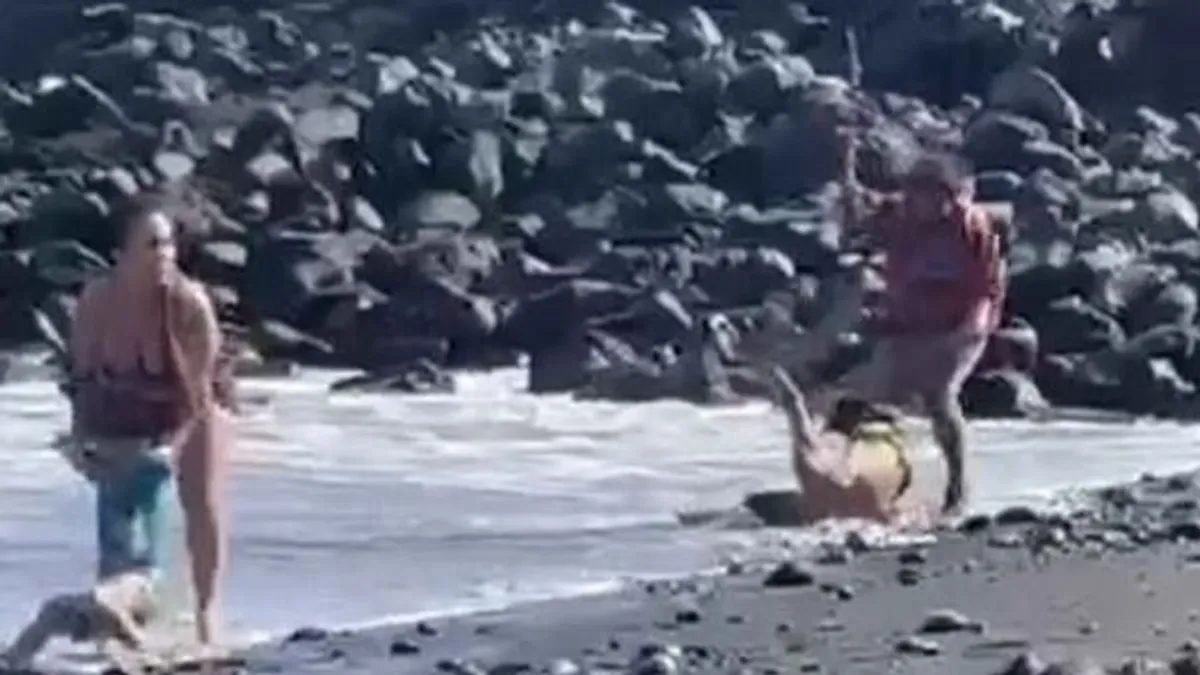 Barlanglakó vademberek verekedtek a turisták között Tenerifén - videó