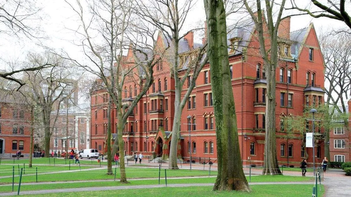 A Harvard gyorstalpalója a legújabb sztárhobbi