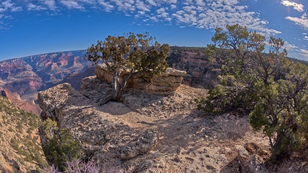 An outcrop of rock overlooking the Bright Angel Trail below at Grand Canyon South Rim off Hermit Road, Grand Canyon, UNESCO World Heritage Site, Arizona, United States of America, North America