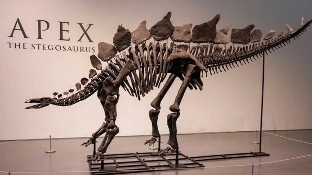 Soha nem fizettek annyit egy dinoszaurusz csontvázáért, mint most New Yorkban