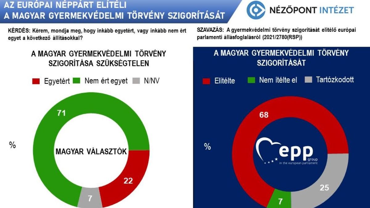 gyermekvédelmi törvény, Nézőpont Intézet