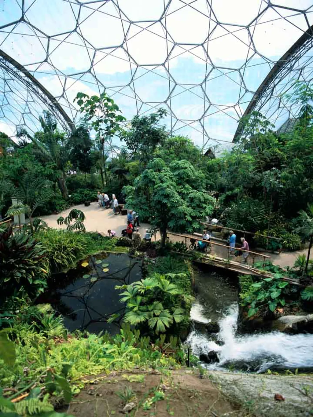 Inside the Humid Tropics Biome, Eden Project, Cornwall.