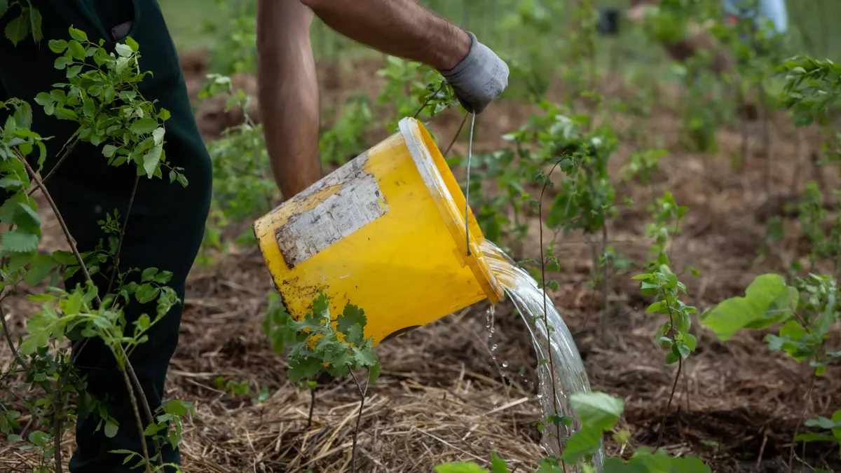 10 millió Fa: életbevágó, hogy mindenki locsoljon fákat