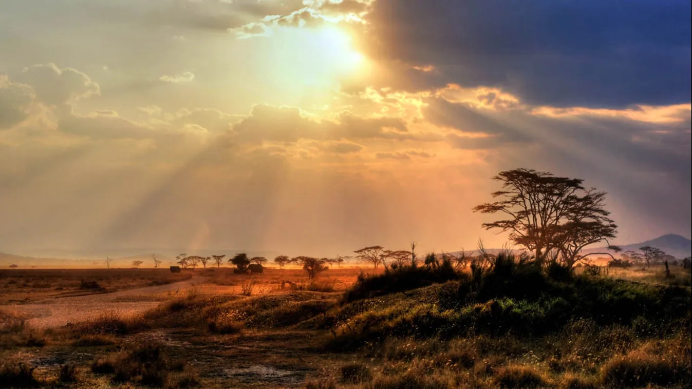 Gorgeous,Sunset,With,Sunbeams,At,A,National,Park,In,Africa