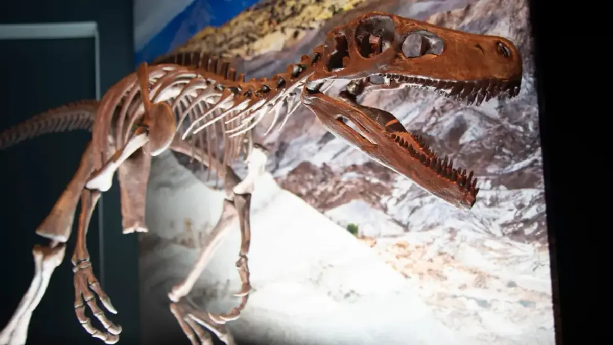 A valaha felfedezett legrégibb dinoszaurusz csontvázak kerültek napvilágra a nagy esőzések miatt