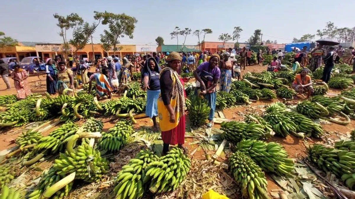 Ott szúrták szíven Afrikát, ahol az utak véget érnek