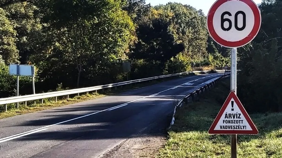 Menekülő vadak miatt zártak le egy utat Pörböly és Baja között