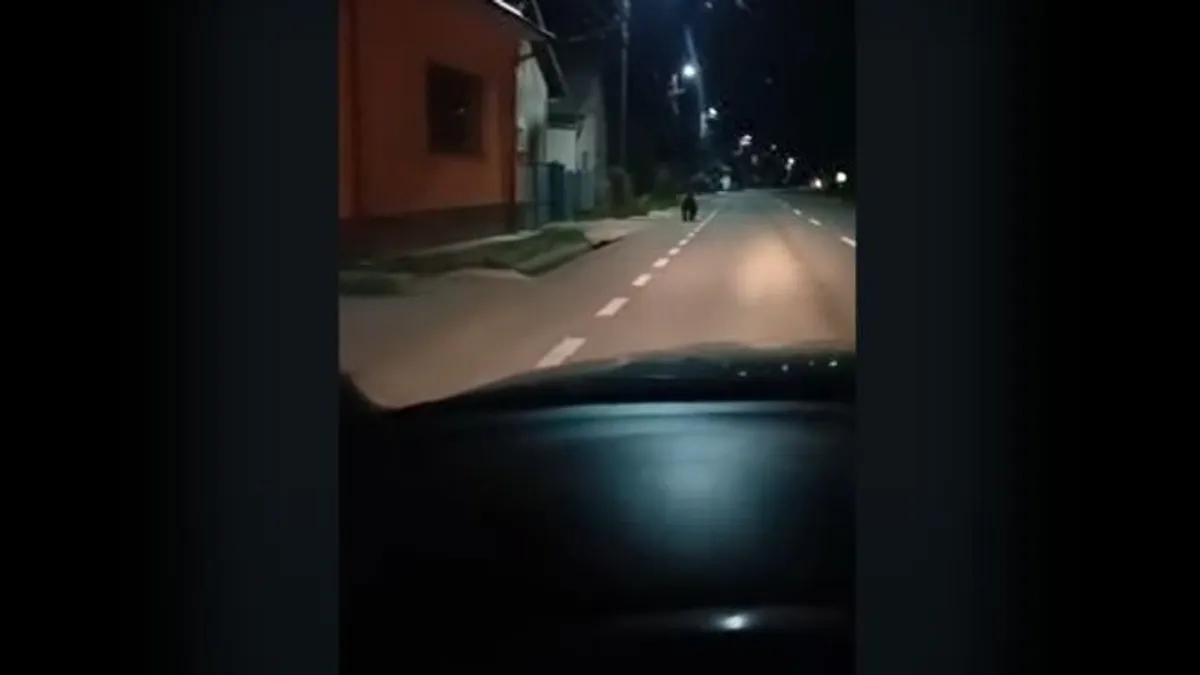Medve jelent meg egy falunapon Romániában - videó